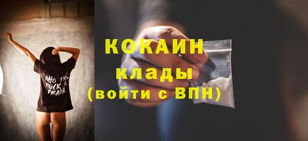 PSILOCYBIN Навашино