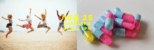 PSILOCYBIN Навашино